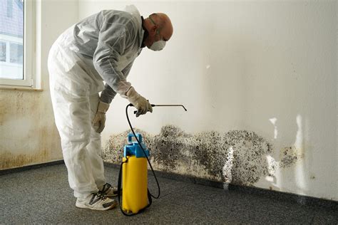 fireproof safe mold removal